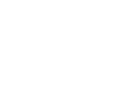 DHL – 1