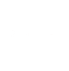 birdseye 1