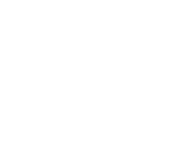 ford – 1
