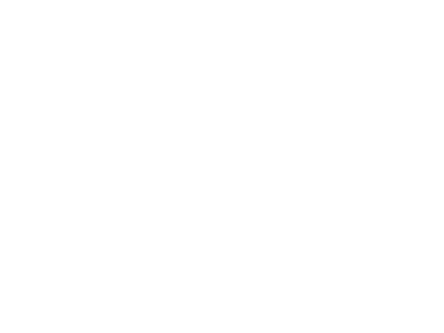 vinci